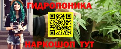 дживик Тверь