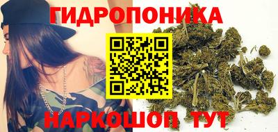 дживик Тверь