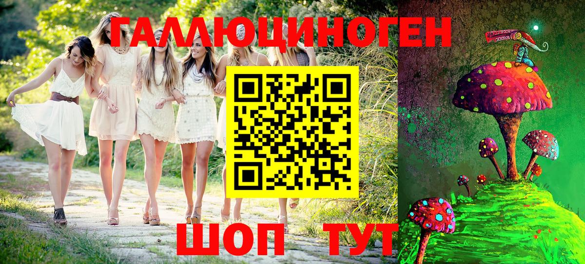 Галлюциногенные грибы Psilocybe Кунгур