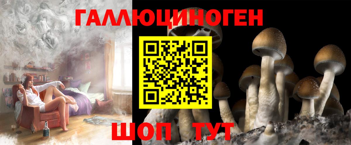 Галлюциногенные грибы Cubensis  Галлюциногенные грибы MAGIC MUSHROOMS  купить наркотик  Кунгур  Вход с VPN 